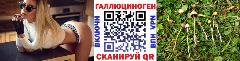Псилоцибиновые грибы мицелий  Купить закладки  Болохово 